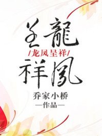 龍鳳呈祥小说封面